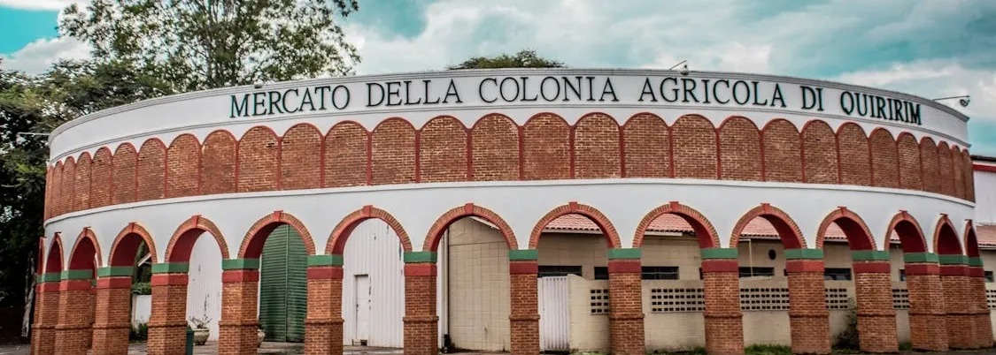 Impact du mercato sur les performances : adaptation et variance