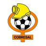 Logo Cobresal
