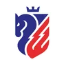 Logo FC Botosani