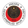 Logo Genclerbirligi Ankara