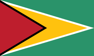 Logo Guyana