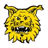 Logo Ilves Tampere