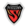 Logo Pohang Steelers