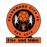 Escudo Polokwane City