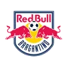 Logo Red Bull Bragantino