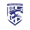 Logo Wuhan Three Towns